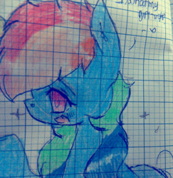 Size: 882x906 | Tagged: safe, artist:magicangelstarartist, imported from derpibooru, rainbow dash, gift art, graph paper, halfbody, photo, side view, solo, traditional art