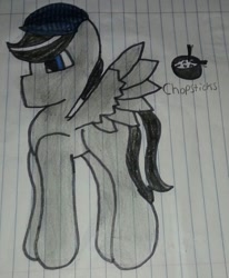Size: 791x960 | Tagged: safe, imported from derpibooru, oc, oc only, oc:chopsticks, pegasus, hat, lined paper, male, solo, stallion, traditional art