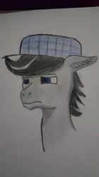 Size: 539x960 | Tagged: safe, imported from derpibooru, oc, oc only, oc:chopsticks, pegasus, pony, bust, hat, male, stallion, traditional art, unamused