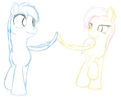 Size: 540x435 | Tagged: safe, artist:stillwaterspony, imported from derpibooru, fluttershy, rainbow dash, pony, female, flutterdash, lesbian, looking at each other, looking at someone, shipping, sketch, smiling, standing, touching wings