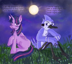 Size: 2800x2500 | Tagged: safe, artist:raventhelemon, imported from derpibooru, twilight sparkle, alicorn, bird, blue jay, pony, airplanes (song), crossover, crossover shipping, duo, female, grass, male, moon, mordecai, mordetwi, night, regular show, shipping, straight, twilight sparkle (alicorn)