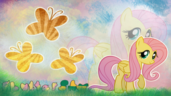 Size: 2560x1440 | Tagged: safe, artist:skrayp, imported from derpibooru, fluttershy, pegasus, pony, abstract background, cloud, cutie mark, female, grass, looking at you, mare, name, raised hoof, sky, smiling, smiling at you, solo, wallpaper