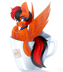 Size: 1750x2000 | Tagged: safe, artist:rinteen, imported from derpibooru, oc, oc only, oc:winged whisper, pegasus, pony, annoyed, blue eyes, chest fluff, collar, cup, cup of pony, male, micro, pegasus oc, simple background, solo, spread wings, stallion, tail, teacup, two toned mane, two toned tail, white background, wings
