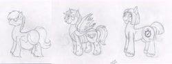 Size: 6450x2400 | Tagged: safe, artist:xyclone, imported from derpibooru, oc, oc only, changeling, earth pony, belly, chubby, grayscale, monochrome, signature, sketch, stomach noise, unshorn fetlocks