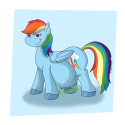 Size: 2500x2500 | Tagged: safe, artist:xyclone, imported from derpibooru, rainbow dash, pegasus, belly, chubby, female, signature, simple background, solo, stomach noise, transparent background