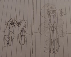 Size: 2375x1906 | Tagged: safe, artist:those kids in the corner, imported from derpibooru, lily, lily valley, nightmare moon, roseluck, alicorn, earth pony, pony, confused, female, nightmare night, scared, siblings, sisters, traditional art