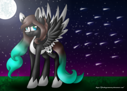 Size: 1480x1072 | Tagged: safe, artist:firedragonmoon15, imported from derpibooru, oc, pegasus, pony, black coat, black wings, brown mane, brown tail, colored wings, cyan eyes, cyan mane, cyan tail, full moon, looking at you, meteor shower, moon, night, night sky, sky, smiling, solo, spread wings, standing, tail, two toned coat, two toned mane, two toned tail, two toned wings, white coat, white wings, wings