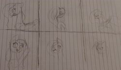 Size: 2929x1705 | Tagged: safe, artist:those kids in the corner, imported from derpibooru, fluttershy, annoyed, expressions, facial expressions, flirting, flower, happy, one eye closed, practice drawing, rose, sad, style practice, traditional art, wings, wink