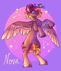 Size: 750x881 | Tagged: safe, artist:shorkerzzz, imported from derpibooru, oc, oc only, oc:nova, butterfly, pegasus, pony, chest fluff, colored wings, colored wingtips, eyebrows, eyebrows visible through hair, rearing, solo, spread wings, two toned wings, unshorn fetlocks, wings