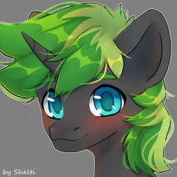 Size: 1000x1000 | Tagged: safe, artist:shelti, imported from derpibooru, oc, oc only, pony, unicorn, bust, colored pupils, commission, horn, male, simple background, smiling, solo, stallion