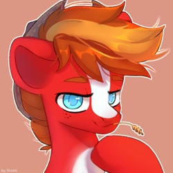 Size: 1000x1000 | Tagged: safe, artist:shelti, imported from derpibooru, oc, oc only, earth pony, pony, bust, colored pupils, commission, hat, looking at you, male, simple background, solo, stallion