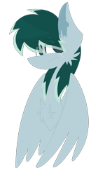 Size: 1200x2000 | Tagged: safe, artist:scridley-arts, imported from derpibooru, oc, oc only, pegasus, pony, pegasus oc, simple background, solo, transparent background