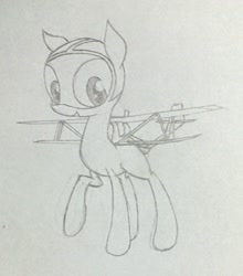 Size: 876x996 | Tagged: artist needed, safe, imported from derpibooru, oc, oc only, original species, plane pony, aac seastar, biplane, happy, looking at you, plane, seaplane, smiling, solo, standing, traditional art