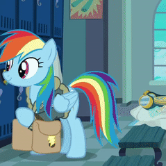 Size: 239x239 | Tagged: safe, imported from derpibooru, screencap, rainbow dash, pegasus, pony, top bolt, animated, clothes, jacket, locker room, solo