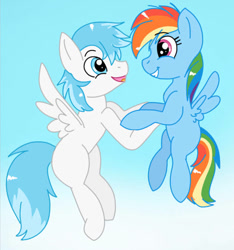 Size: 600x640 | Tagged: safe, artist:mlpcartel, imported from derpibooru, rainbow dash, oc, oc:riley, pegasus, pony, brother and sister, female, filly, filly rainbow dash, flying, foal, male, siblings, younger