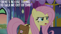 Size: 1920x1080 | Tagged: safe, edit, edited screencap, editor:quoterific, imported from derpibooru, screencap, fluttershy, a health of information, bag, saddle bag, solo, twilight's castle
