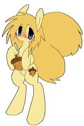 Size: 529x792 | Tagged: safe, artist:muffinz, imported from derpibooru, oc, oc only, oc:fluffer nutter, earth pony, pony, squirrel, squirrel pony, acorn, bipedal, blushing, hoof hold, male, simple background, solo, stallion, white background