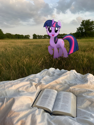 Size: 1472x1962 | Tagged: safe, artist:zetter-berg, edit, imported from derpibooru, twilight sparkle, pony, unicorn, bible, book, female, g4, grass, horn, irl, mare, open mouth, outdoors, photo, photoshop, ponies in real life, ponytail, real life background, solo, tail, unicorn twilight