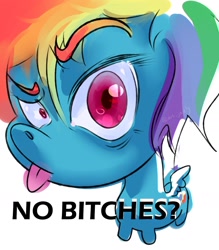 Size: 1470x1677 | Tagged: safe, artist:art jazly, imported from derpibooru, rainbow dash, pegasus, pony, female, meme, no bitches?, solo, tongue out, vulgar