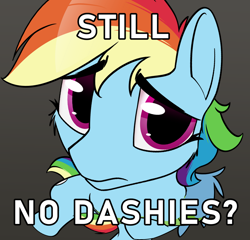 Size: 1042x1000 | Tagged: safe, artist:dacaoo, imported from derpibooru, rainbow dash, pegasus, pony, female, looking at you, mare, meme, no bitches?, ponified meme, simple background, solo