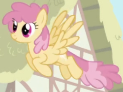 Size: 299x224 | Tagged: safe, imported from derpibooru, screencap, dizzy twister, orange swirl, pegasus, pony, season 1, season 2, background character, background pony, cropped, female, flying, intro, mare, solo, spread wings, wings