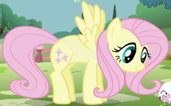 Size: 1030x642 | Tagged: safe, imported from derpibooru, screencap, fluttershy, pegasus, pony, season 1, season 2, cropped, female, intro, mare, solo focus, spread wings, wings