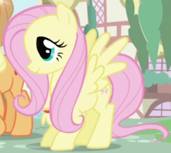 Size: 468x417 | Tagged: safe, imported from derpibooru, screencap, fluttershy, pegasus, pony, season 1, season 2, cropped, female, intro, mare, solo focus, spread wings, wings