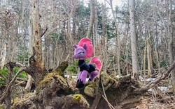 Size: 2048x1286 | Tagged: safe, imported from derpibooru, photographer:pakapaka1993, tempest shadow, pony, irl, japan, photo, plushie, solo