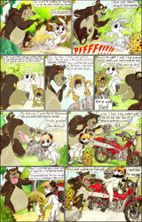 Size: 1990x3108 | Tagged: safe, artist:meiyeezhu, imported from derpibooru, angel bunny, harry, bear, bufogren, rabbit, angry, animal, bush, chase, comic, crown, everfree forest, forest, helmet, jewelry, magic, motorcycle, motorcycle helmet, motorcycle outfit, outdoors, parody, pointing, regalia, riding, surprised, talking
