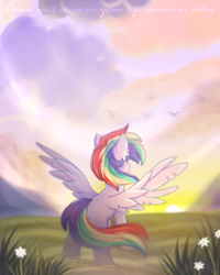 Size: 2000x2500 | Tagged: safe, artist:fluffywhirlpool, imported from derpibooru, oc, oc only, oc:manti'core, pegasus, pony, cloud, ear fluff, field, full body, looking away, male, multicolored mane, multicolored tail, pegasus oc, rising sun, sky, sky background, solo, spread wings, stallion, tail, wings