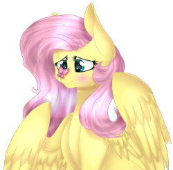 Size: 926x913 | Tagged: safe, alternate version, artist:angellightyt, artist:namichee, imported from derpibooru, fluttershy, butterfly, pegasus, pony, background removed, butterfly on nose, collaboration, cute, female, insect on nose, mare, shyabetes, simple background, solo, transparent background, wings