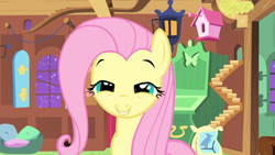 Size: 1920x1080 | Tagged: safe, imported from derpibooru, screencap, fluttershy, pegasus, pony, stare master, female, mare, solo