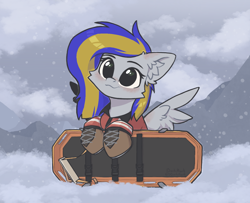 Size: 1300x1053 | Tagged: safe, artist:dorkmark, imported from derpibooru, oc, oc only, oc:eagle fly, pegasus, pony, backboard, clothes, female, mountain, snow, snowfall, solo, uniform