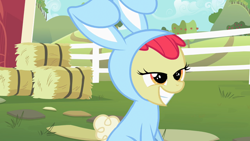 Size: 1280x720 | Tagged: safe, imported from derpibooru, screencap, apple bloom, earth pony, pony, family appreciation day, animal costume, bunny bloom, bunny costume, clothes, costume, female, fence, filly, foal, hay bale, lidded eyes, out of context, smiling, solo