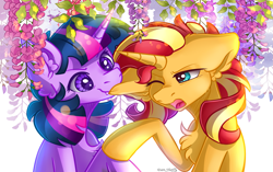 Size: 2865x1794 | Tagged: safe, artist:yuris, imported from derpibooru, sunset shimmer, twilight sparkle, pony, unicorn, biting, chest fluff, duo, ear bite, ear fluff, ears back, ears up, female, flower, leaves, lesbian, open mouth, shipping, simple background, smiling, sunlight, sunsetsparkle, white background, wisteria