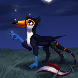 Size: 3000x3000 | Tagged: safe, artist:nika-rain, imported from derpibooru, oc, oc only, oc:tristão, bird, griffon, toucan, beak, commission, folded wings, griffon oc, male, moon, night, outdoors, paws, solo, spots, standing, stars, talons, toucan griffon, wings