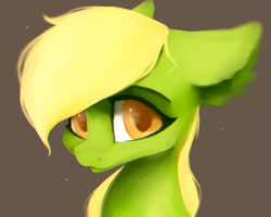 Size: 1350x1080 | Tagged: safe, artist:minckies, imported from derpibooru, oc, oc only, earth pony, pony, brown background, bust, ear fluff, earth pony oc, simple background, solo