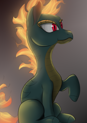 Size: 2894x4093 | Tagged: safe, artist:infy_ti, derpibooru exclusive, imported from derpibooru, dragon, hybrid, longma, them's fightin' herds, community related, female, fire, mane on fire, sitting, solo, tail, tail of fire, tianhuo (tfh)