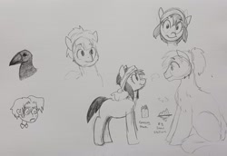 Size: 2048x1413 | Tagged: safe, artist:pony quarantine, imported from derpibooru, oc, oc only, bird, crow, earth pony, pony, female, fluffy, grayscale, looking at each other, looking at someone, looking at you, male, mare, monochrome, pencil drawing, smiling, smiling at each other, smiling at you, snowpony (species), stallion, taiga pony, traditional art, yakutian horse