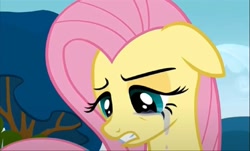 Size: 1082x655 | Tagged: safe, imported from derpibooru, screencap, fluttershy, pegasus, pony, hurricane fluttershy, crying, female, floppy ears, fluttercry, mare, solo