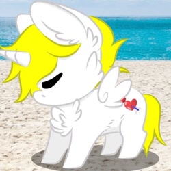 Size: 640x640 | Tagged: safe, artist:andreza, imported from derpibooru, oc, oc only, oc:kionagdl, alicorn, pony, beach, chest fluff, solo