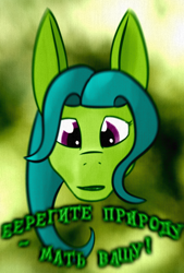 Size: 448x664 | Tagged: safe, artist:kujivunia, edit, imported from derpibooru, oc, oc only, dryad, earth pony, abstract background, big ears, bust, cyrillic, earth pony oc, green background, head only, looking at you, portrait, poster, russian, solo