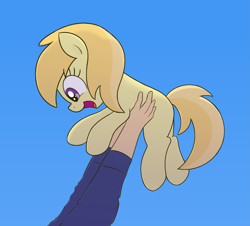 Size: 2087x1888 | Tagged: safe, artist:algoatall, noi, earth pony, human, pony, blue background, female, filly, happy, holding a pony, offscreen character, open mouth, simple background, smiling, solo focus, upsies