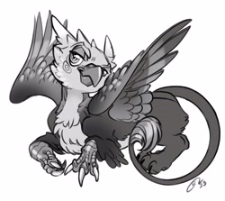Size: 4096x3661 | Tagged: safe, artist:opalacorn, imported from derpibooru, oc, oc only, griffon, grayscale, griffon oc, lidded eyes, looking at you, lying down, monochrome, prone, simple background, smiling, smirk, solo, white background