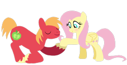 Size: 1532x789 | Tagged: safe, artist:mlplary6, imported from derpibooru, big macintosh, fluttershy, earth pony, pegasus, pony, blushing, female, fluttermac, holding hooves, love, male, mare, shipping, simple background, smiling, stallion, straight, transparent background, vector