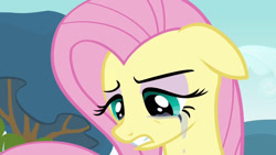 Size: 1280x720 | Tagged: safe, artist:incredibubbleirishguy, edit, edited screencap, editor:incredibubbleirishguy, imported from derpibooru, screencap, fluttershy, pegasus, pony, hurricane fluttershy, crying, eyeshadow, female, fluttercry, makeup, mare, pink eyeshadow, sad, solo, teary eyes