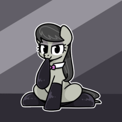 Size: 800x800 | Tagged: safe, artist:sugar morning, derpibooru exclusive, imported from derpibooru, octavia melody, earth pony, pony, animated, bow, clothes, collar, commission, cute, emanata, female, heart, latex, latex socks, mare, mouth hold, socks, solo, sparkles, sugar morning's sockies, tavibetes, ych example, your character here