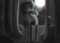 Size: 1050x750 | Tagged: safe, artist:minckies, imported from derpibooru, oc, oc only, earth pony, pony, earth pony oc, forest, full moon, grayscale, hair over one eye, monochrome, moon, outdoors, solo