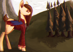 Size: 1050x750 | Tagged: safe, artist:minckies, imported from derpibooru, oc, oc only, pegasus, pony, clothes, forest, glasses, mountain, outdoors, pegasus oc, solo, tree, wings