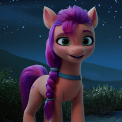 Size: 680x680 | Tagged: safe, imported from derpibooru, screencap, sunny starscout, earth pony, pony, cropped, female, g5, mare, my little pony: a new generation, night, open mouth, open smile, smiling, solo, stars